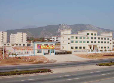 丰叶电器 丰叶电器